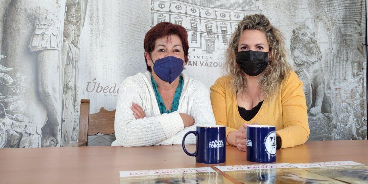 Felican y el Ayuntamiento de Úbeda impulsan una campaña de captación de voluntarios