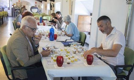 Curso de Iniciación a la Cata de Aceite de Oliva Virgen ‘Cultura y Sabor’