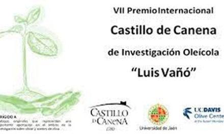 Castillo de Canena convoca el VII Premio de Investigación Oleícola ‘Luis Vañó’