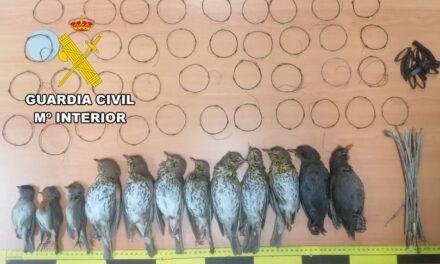 Investigan a un vecino de Torreperogil por cazar pájaros con artes prohibidas