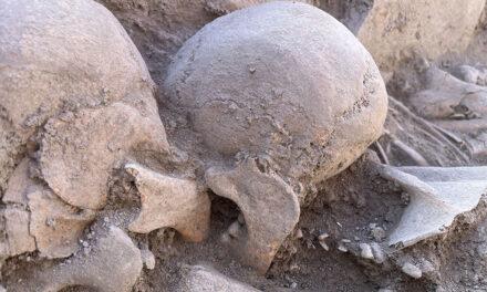 Hallados restos arqueológicos en el cerro del Alcázar de Baeza