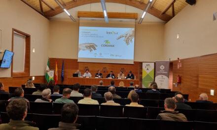 El Aula Oleícola Innova ofrece en Baeza una jornada formativa sobre el olivar de seto y la variedad Coriana
