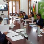 La Comisión de los Paisajes del Olivar decide retirar la candidatura a Patrimonio Mundial