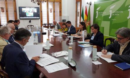 La Comisión de los Paisajes del Olivar decide retirar la candidatura a Patrimonio Mundial